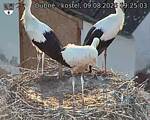 Capi_Dubne_20250809_192503.jpg