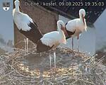Capi_Dubne_20250809_193503.jpg