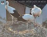 Capi_Dubne_20250809_194003.jpg