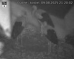 Capi_Dubne_20250809_212002.jpg