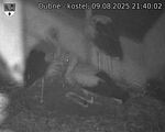 Capi_Dubne_20250809_214002.jpg
