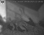Capi_Dubne_20250809_222002.jpg
