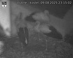 Capi_Dubne_20250809_231502.jpg
