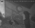 Capi_Dubne_20250809_233003.jpg