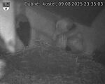 Capi_Dubne_20250809_233503.jpg