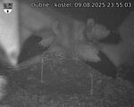 Capi_Dubne_20250809_235503.jpg
