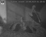 Capi_Dubne_20250810_012002.jpg