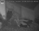 Capi_Dubne_20250810_014002.jpg
