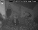Capi_Dubne_20250810_022003.jpg