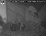 Capi_Dubne_20250810_031503.jpg