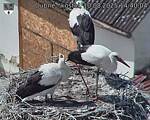Capi_Dubne_20250810_144004.jpg
