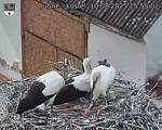 Capi_Dubne_20250810_155503.jpg