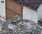 Capi_Dubne_20250810_162503.jpg