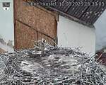 Capi_Dubne_20250810_163003.jpg