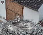 Capi_Dubne_20250810_164502.jpg