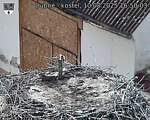Capi_Dubne_20250810_165003.jpg