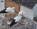 Capi_Dubne_20250810_175003.jpg