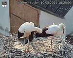 Capi_Dubne_20250810_182503.jpg
