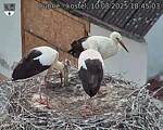 Capi_Dubne_20250810_184503.jpg