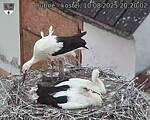 Capi_Dubne_20250810_202002.jpg
