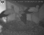 Capi_Dubne_20250810_212002.jpg