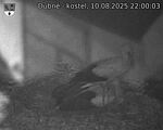 Capi_Dubne_20250810_220003.jpg