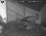 Capi_Dubne_20250810_222002.jpg