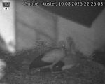 Capi_Dubne_20250810_222503.jpg