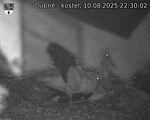 Capi_Dubne_20250810_223002.jpg