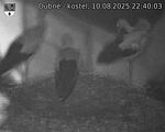 Capi_Dubne_20250810_224003.jpg