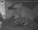 Capi_Dubne_20250810_231502.jpg
