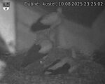 Capi_Dubne_20250810_232502.jpg