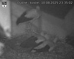 Capi_Dubne_20250810_233502.jpg