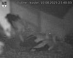 Capi_Dubne_20250810_234003.jpg