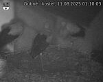 Capi_Dubne_20250811_011003.jpg