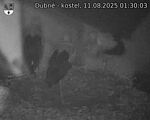 Capi_Dubne_20250811_013003.jpg