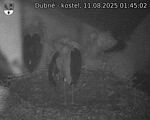 Capi_Dubne_20250811_014502.jpg