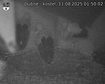 Capi_Dubne_20250811_015002.jpg