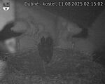 Capi_Dubne_20250811_021503.jpg