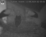 Capi_Dubne_20250811_025502.jpg