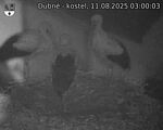 Capi_Dubne_20250811_030003.jpg