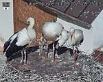 Capi_Dubne_20250811_092503.jpg