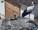 Capi_Dubne_20250811_142503.jpg