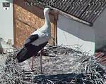 Capi_Dubne_20250811_143502.jpg