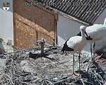 Capi_Dubne_20250811_152003.jpg