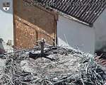 Capi_Dubne_20250811_152502.jpg