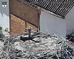 Capi_Dubne_20250811_154003.jpg