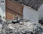 Capi_Dubne_20250811_155004.jpg