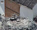 Capi_Dubne_20250811_160003.jpg