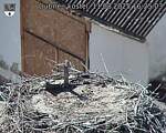 Capi_Dubne_20250811_162503.jpg